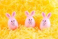 Cute pink Easter Egg bunny surrounded with bright yellow paper strands