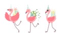 Cute Pink Flamingo in Birthday Party Hat Carrying Gift Box and Bunch of Flowers Vector Set