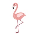 Cute pink flamingo isolated on white background. Tropical exotic bird animal standing on one leg. Flat and doodle vector