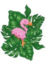 Cute pink flamingo with tropical leaves illustration
