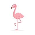 Cute pink flamingo illustration, flat design vector Royalty Free Stock Photo