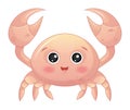 Vector Cute Cartoon Baby Crab Royalty Free Stock Photo