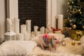 Cute pink mini pig indoors Royalty Free Stock Photo