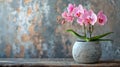 Cute pink orchid potted plant Royalty Free Stock Photo