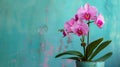 Cute pink orchid potted plant Royalty Free Stock Photo