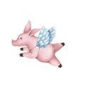 Cute pink pig with angel wings. Isolated on white background.