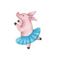 Cute pink pig ballerina. In a blue skirt dancing. Isolated on white background. symbol 2019 Royalty Free Stock Photo