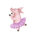 Cute pink pig ballerina. In a pink skirt dancing. Isolated on white background. symbol 2019 Royalty Free Stock Photo