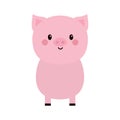 Cute pink pig standing icon. Smiling face. Cartoon kawaii funny baby character. Hog swine sow animal. Flat design. Educational Royalty Free Stock Photo