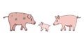 Cute pink pigs family. Father, mother sow and a piglet are walking somewhere, side view. Farm animals are smiling, child closed