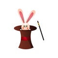 Cute pink rabbit from circus magic top hat near magic stick