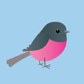 Cute pink robin comic illustration