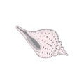 Cute pink sea shell. Hand drawn illustration vector. Royalty Free Stock Photo