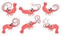 Cute Pink Shrimp with Big Eyes and Long Antennae Vector Set