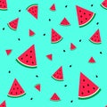 Cute pink watermelon slice design on white background seamless pattern wallpaper background. Vector art Royalty Free Stock Photo