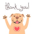 Cute Pitbull dog says thank you. American Staffordshire Pit Bull Terrier with heart full of gratitude. Vector