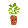 Cute plant character in pot. Happy blossom home flower isolated on white background. Vector cartoon illustration in Royalty Free Stock Photo