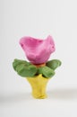 Cute plasticine flower on white background