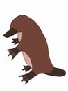 Cute cartoon platypus ornithorhynchus , animal illustration white background