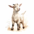 Watercolor Baby Goat Illustration With Detailed Character Style