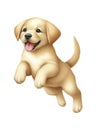 Cute playful Golden Retriever puppy in motion. Watercolor