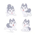 Cute playful husky puppy. Set of cartoon vector illustrations on white background.