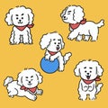 cute playful poodle daily life character doodle illustration