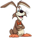 Cute playful rabbit cartoon character