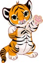 Cute playful tiger cub Royalty Free Stock Photo