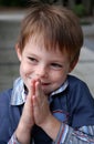 Cute little boy smiles with malicious joy Royalty Free Stock Photo