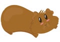 Cute plump brown guinea pig lies with outstretched paws, cute domestic rodent, vector illustration Royalty Free Stock Photo