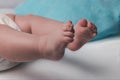 Cute plump legs of a newborn baby