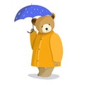cute plush bear with umbrella autumn clipart, children's vector illustration with cartoon character