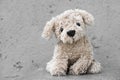Cute plush dog on a grey background
