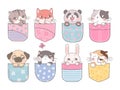 Cute pocket animal. Cartoon pockets kitten, dog and bunny. Happy friends for kids, adorable pets print. Funny nowaday