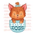 Cute pocket dog. Love dogs, little puppy and cartoon pet vector illustration Royalty Free Stock Photo