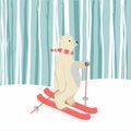 Cute Polar Bear Happy skiing Royalty Free Stock Photo