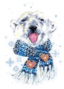 Cute polar bear in a knitted hat with snowflake watercolor background.