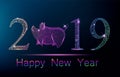 Cute polygonal pig on place of zero in number 2019