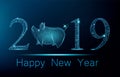 Cute polygonal pig on place of zero in number 2019