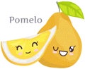 Cute pomelo sticker kawaii character icon vector design. Adorable, cute charming cheerful face