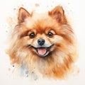 Cute Pomeranian Watercolor Portrait With Detailed Character Design