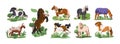 Cute ponies set. Foals, small miniature horses breeds. Mini equine baby animals running, walking, grazing, standing