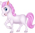 Cute pony horse on white background