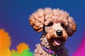 Cute poodle on bright multicolored background. Portrait of charming dog with curly fur. Generative AI.