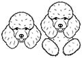 Cute poodle head and peeking line art design