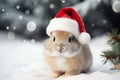 Cute portrait of an adorable festive Christmas rabbit wearing a Santa hat