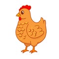 Cute portrait of cartoon farm hen isolated. Vector illustration of chicken for children's books and magazines, stickers Royalty Free Stock Photo