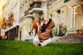 Cute portrait of a dog-owner female kissing and hugging her small pet - yorkshire terrier, sitting on a green grass, feeling happy Royalty Free Stock Photo