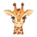 Cute portrait giraffe head in cartoon style. Drawing african baby wild face isolated on white background. Watercolor Royalty Free Stock Photo